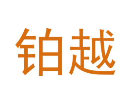 铂越 第12类运输工具商标图样