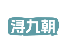 浔九朝 第33类酒商标图样
