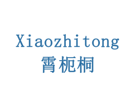霄枙桐 XIAOZHITONG 第3类化妆品商标图样