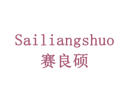 赛良硕 第9类科学仪器商标图样