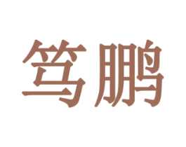 笃鹏 第9类科学仪器商标图样