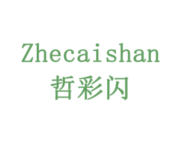 哲彩闪 第9类科学仪器商标图样