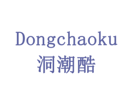 洞潮酷 第9类科学仪器商标图样