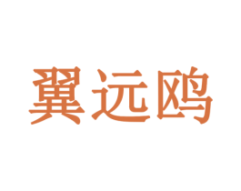 翼远鸥 第10类医疗器械商标图样