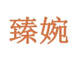 臻婉 第11类家用电器商标图样
