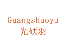光硕羽 第11类家用电器商标图样