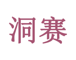 洞赛 第11类家用电器商标图样