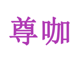 尊咖 第28类体育玩具商标图样