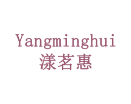 漾茗惠 第30类小食配料商标图样