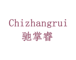 驰掌睿 第11类家用电器商标图样