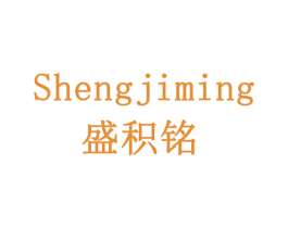 盛积铭 第28类体育玩具商标图样