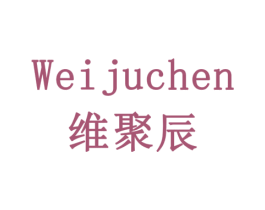 维聚辰 第9类科学仪器商标图样