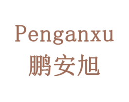 鹏安旭 第12类运输工具商标图样