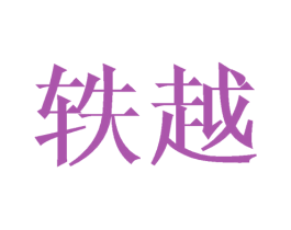 轶越 第21类厨房洁具商标图样