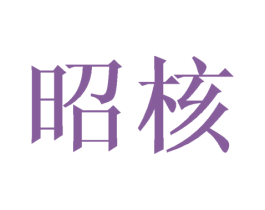 昭核 第9类科学仪器商标图样