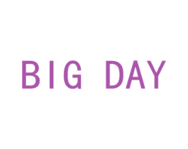BIG DAY 第6类五金金属商标图样