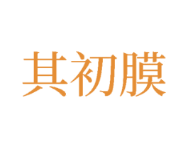 其初膜 第9类科学仪器商标图样