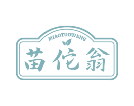苗佗翁 第30类小食配料商标图样