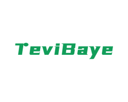 TEVIBAYE 第18类皮革箱包商标图样