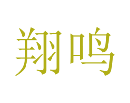 翔鸣 第36类金融物管商标图样