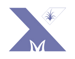 X 第25类服装鞋帽商标图样