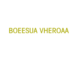 BOEESUA VHEROAA 第25类服装鞋帽商标图样