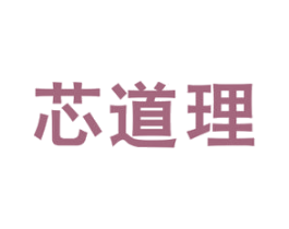 芯道理 第9类科学仪器商标图样