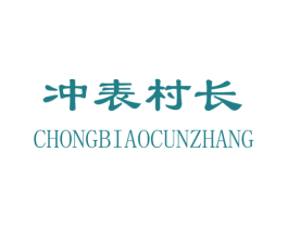 冲表村长 第9类科学仪器商标图样