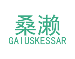 桑濑 GAIUSKESSAR 第28类体育玩具商标图样