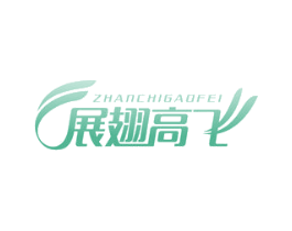 展翅高飞 第9类科学仪器商标图样