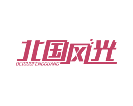 北国风光 第9类科学仪器商标图样