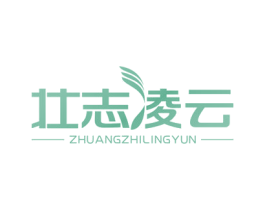 壮志凌云 第10类医疗器械商标图样