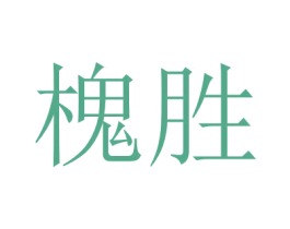 槐胜 第25类服装鞋帽商标图样