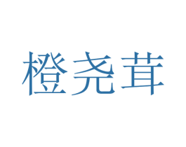 橙尧茸 第25类服装鞋帽商标图样