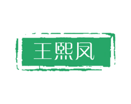 王熙凤 第25类服装鞋帽商标图样