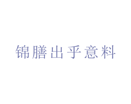锦膳出乎意料 第30类小食配料商标图样