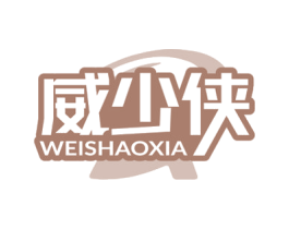 威少侠 第9类科学仪器商标图样