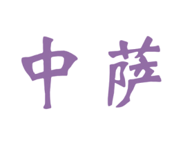 中萨 第12类运输工具商标图样