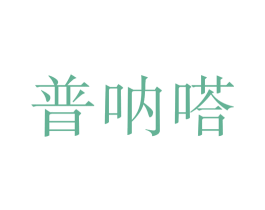 普呐嗒 第18类皮革箱包商标图样