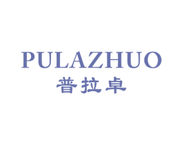 普拉卓 第18类皮革箱包商标图样