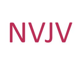 NVJV 第26类花边配饰商标图样