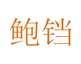 鲍铛 第25类服装鞋帽商标图样