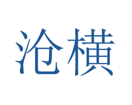 沧横 第21类厨房洁具商标图样