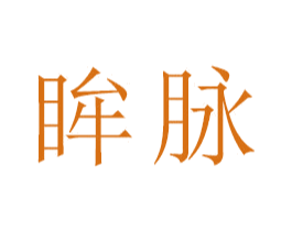 眸脉 第18类皮革箱包商标图样