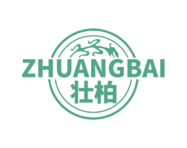 壮柏 第5类医药商标图样