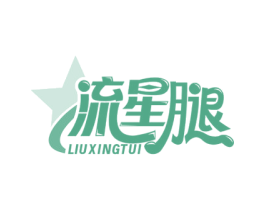 流星腿 第39类运输旅行商标图样