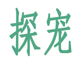 探宠 第6类五金金属商标图样