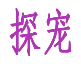 探宠 第17类橡胶制品商标图样