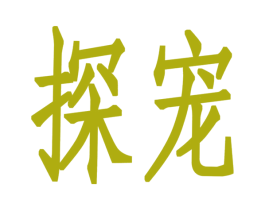 探宠 第19类建筑材料商标图样