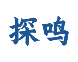 探鸣 第28类体育玩具商标图样